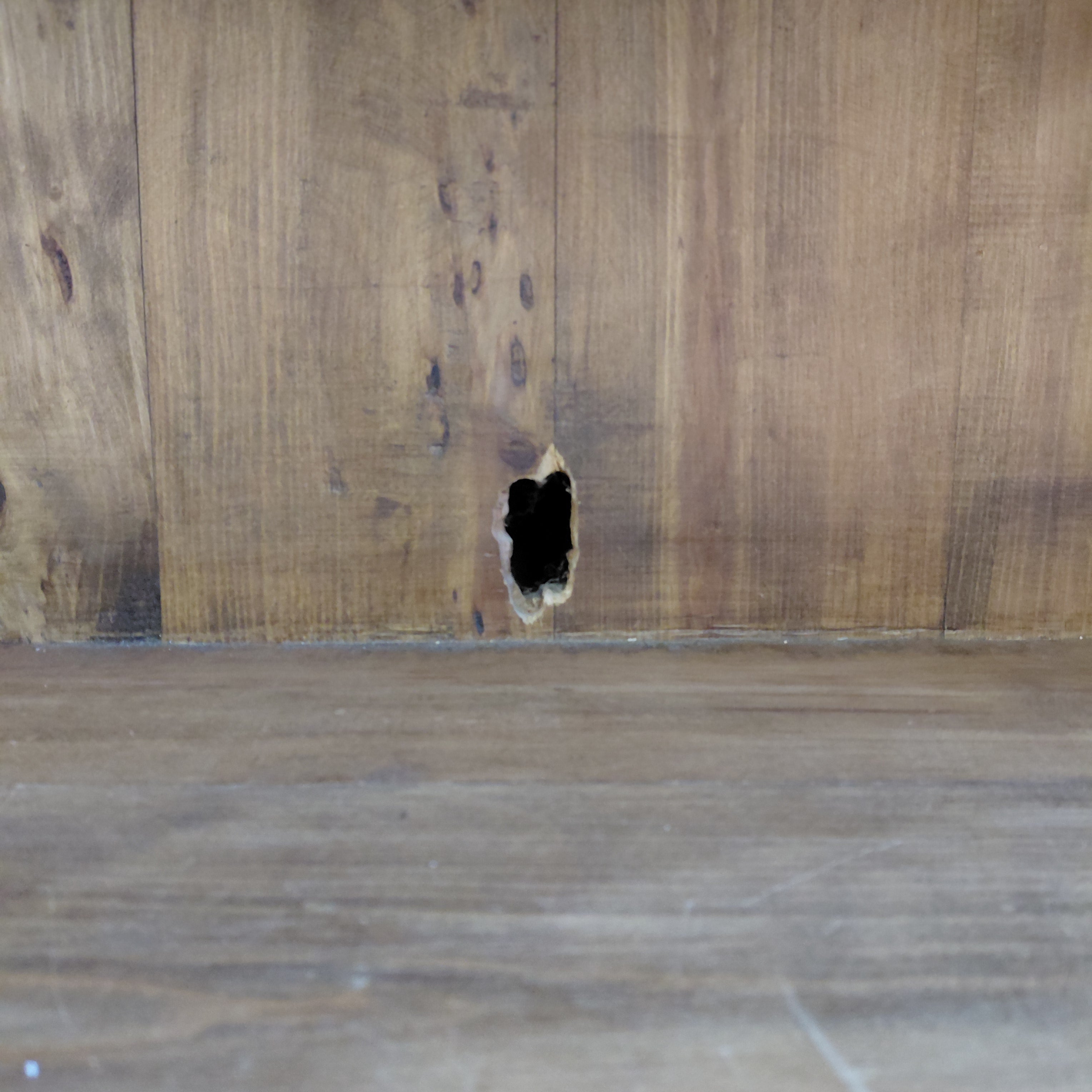 Oak Bookcase