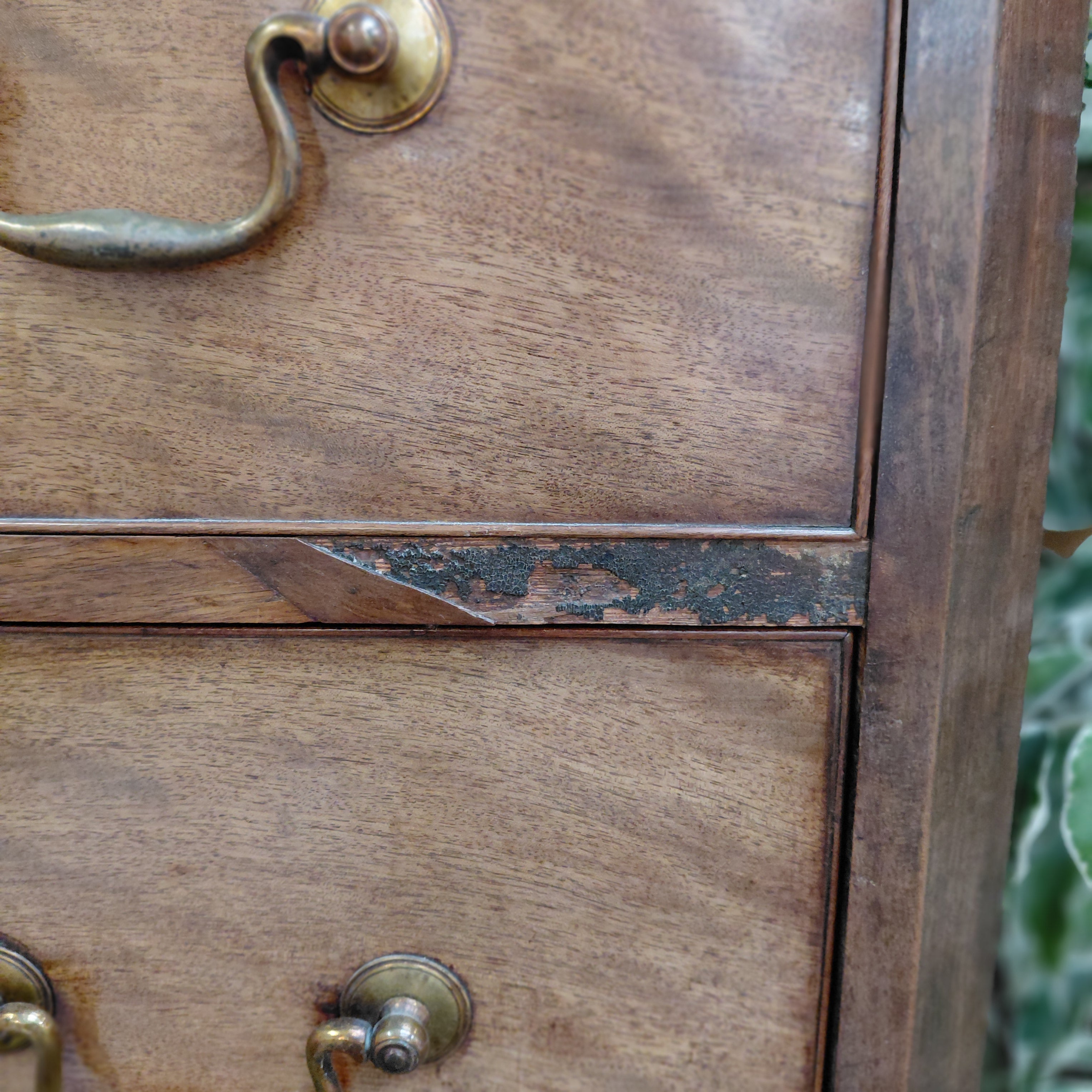 Edwardian Bureau