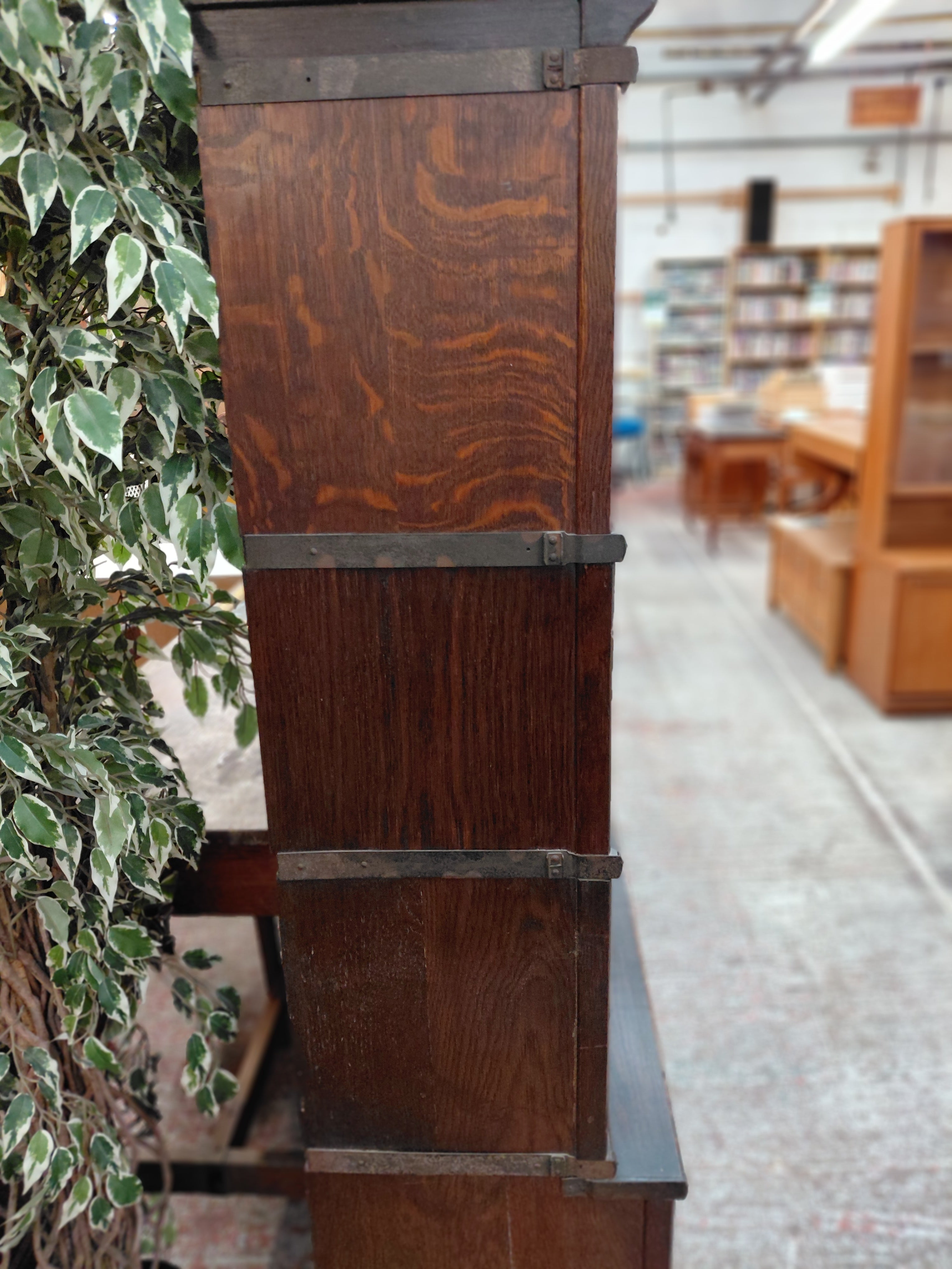 The Globe Wernicke Bookcase
